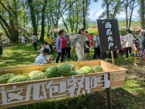 枫豪吃瓜,揭秘娱乐圈幕后故事