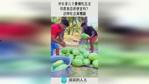 枫豪吃瓜,揭秘娱乐圈幕后故事