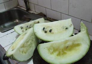 鱼翅瓜怎样吃最好,解锁最佳食用方法