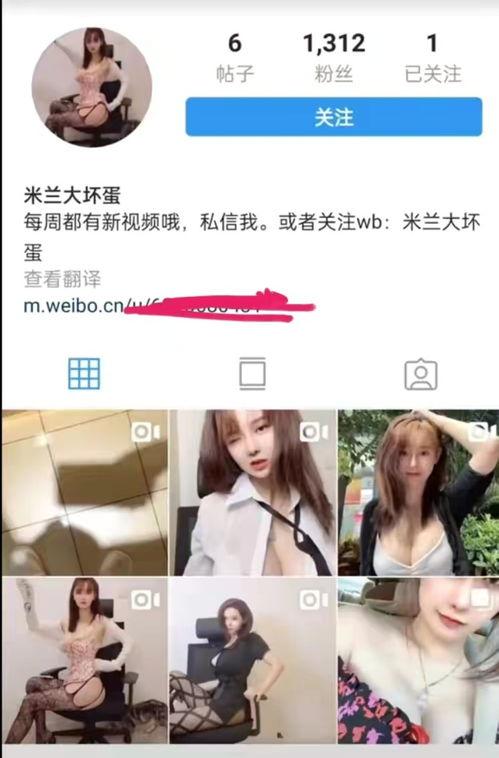 理智吃瓜最新视频  第2张