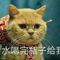 起点吃瓜的人,人生百味尽在其中  第3张