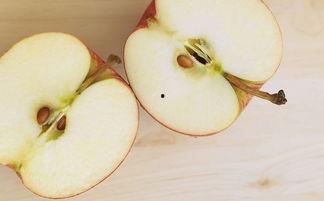 妇科病可以吃白瓜么嘛,妇科病患者适宜食用白瓜的探讨  第3张