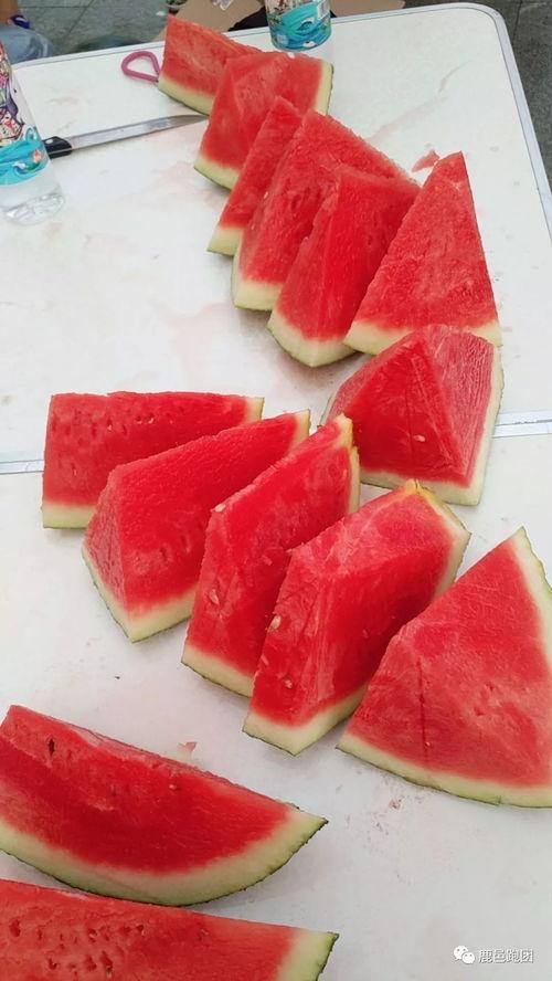 吃瓜大赛卖瓜,吃瓜大赛，瓜农们的甜蜜较量