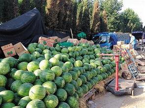 桃源九溪吃瓜,夏日吃瓜盛宴，尽享田园风光与清凉滋味