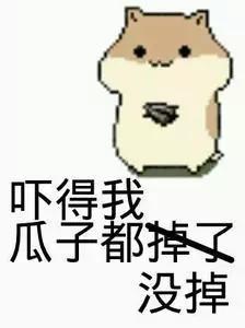 吃瓜子也算吃瓜吧嘛,日常生活中的“吃瓜”体验