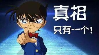 吃瓜也清醒完结,揭秘娱乐圈背后的真相与反思