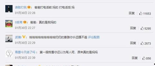 瓜老师的吃瓜解压密码,揭秘娱乐圈的轻松密码 第3张 瓜老师的吃瓜解压密码,揭秘娱乐圈的轻松密码 第3张