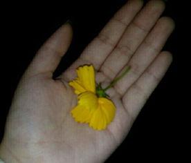 河边吃瓜视频素材  第1张