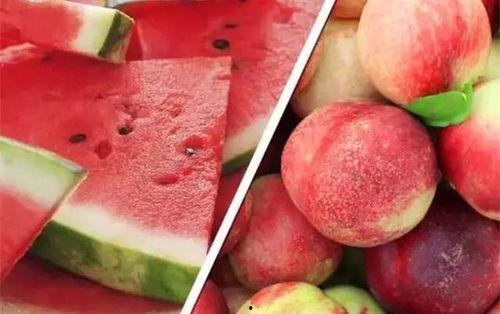 桃子妹妹吃瓜视频,揭秘娱乐圈幕后故事 第1张 桃子妹妹吃瓜视频,揭秘娱乐圈幕后故事 第1张