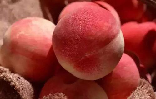 桃子妹妹吃瓜视频,揭秘娱乐圈幕后故事 第2张 桃子妹妹吃瓜视频,揭秘娱乐圈幕后故事 第2张