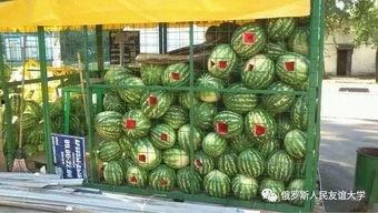 吃小色瓜群,美食分享与社交互动的乐园 第3张 吃小色瓜群,美食分享与社交互动的乐园 第3张