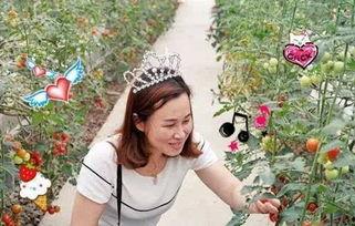 甜甜吃瓜博主,带你领略娱乐圈幕后风云 第2张 甜甜吃瓜博主,带你领略娱乐圈幕后风云 第2张