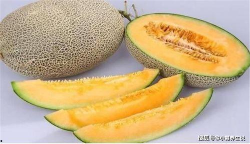 吃蜜瓜逛景区,畅游景区尽享甜蜜时光