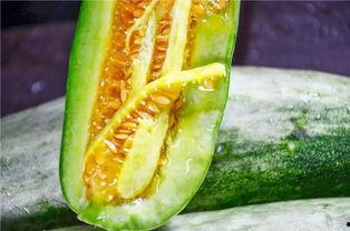 瓜罗怎样吃的,多样吃法,尽享美味 第2张 瓜罗怎样吃的,多样吃法,尽享美味 第2张