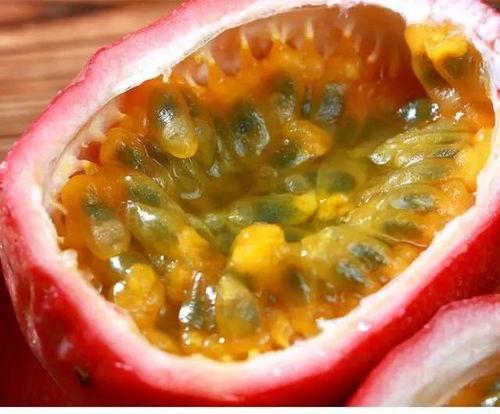 瓜罗怎样吃的,多样吃法,尽享美味 第3张 瓜罗怎样吃的,多样吃法,尽享美味 第3张