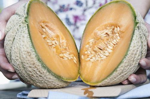 哈密瓜怎么吃脆,解锁夏日清新口感 第1张 哈密瓜怎么吃脆,解锁夏日清新口感 第1张