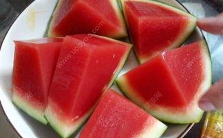 吃果冻瓜泡沫,探索美味背后的科学奇迹 第1张 吃果冻瓜泡沫,探索美味背后的科学奇迹 第1张