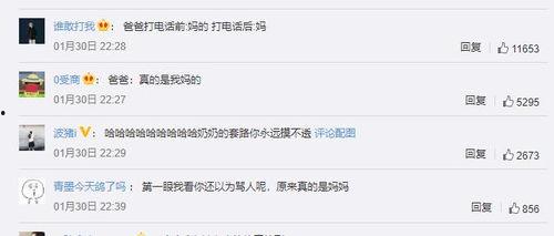 评论666吃瓜资源,带你领略网络热议背后的真相  第2张