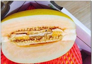 江山市吃瓜,瓜果飘香,品味夏日清凉 第3张 江山市吃瓜,瓜果飘香,品味夏日清凉 第3张