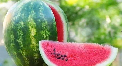 吃瓜解剖原因,揭秘吃瓜解剖背后的真相与原因 第3张 吃瓜解剖原因,揭秘吃瓜解剖背后的真相与原因 第3张