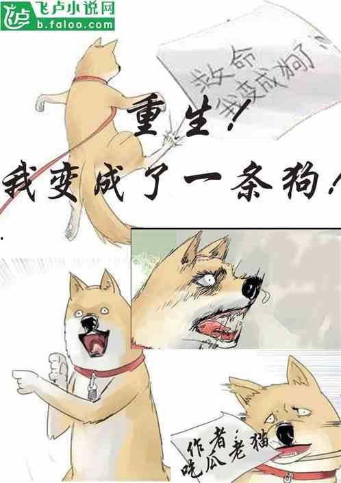 猫吃瓜视频大全,猫吃瓜视频大全趣味盘点  第1张