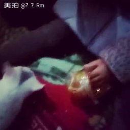 猫吃瓜视频大全,猫吃瓜视频大全趣味盘点  第2张