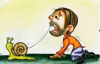 最近吃瓜吃的我牙疼  第2张