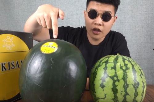 吃瓜在线亚洲国产,亚洲国产生态圈深度解析 第2张 吃瓜在线亚洲国产,亚洲国产生态圈深度解析 第2张