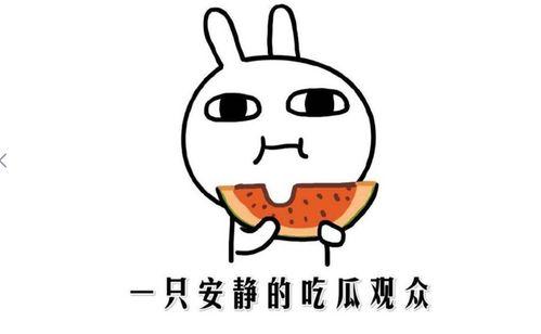 很像吃瓜群众的人,揭秘吃瓜群众的欢乐人生  第2张