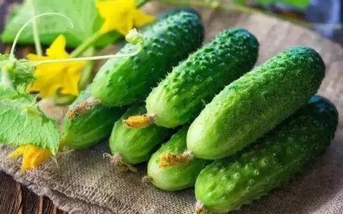 春吃芽夏吃瓜,春芽夏瓜,顺应时节养生之道 第2张 春吃芽夏吃瓜,春芽夏瓜,顺应时节养生之道 第2张