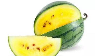 吃瓜大白36,一场关于瓜农生活的深度对话  第3张