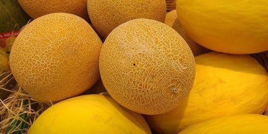 春天吃哈密瓜,哈密瓜的甜蜜诱惑