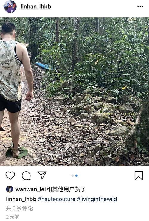 今日吃瓜每天必吃天天更新,紧跟热点，天天更新，畅享娱乐盛宴