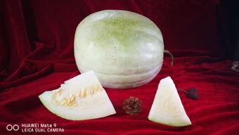 孕妇可以吃三白瓜