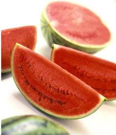 吃刷碗瓜,揭秘日常生活中的趣味与智慧  第1张