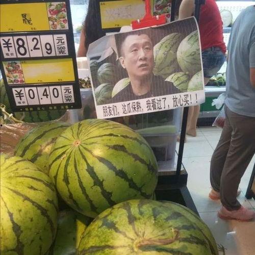 网络吃瓜在线,揭秘娱乐圈幕后真相，带你领略虚拟世界的真实