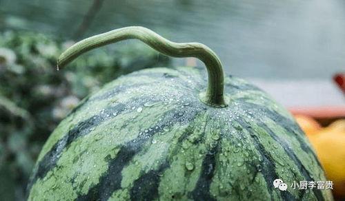 吃瓜最早的由来,探究“吃瓜”一词的起源与演变  第3张