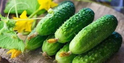 冬至几点吃瓜,揭秘冬至吃瓜的习俗与寓意  第1张