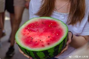 西安吃瓜陕师大,陕师大的“吃瓜”风情  第2张