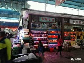 广州吃瓜站  第1张