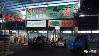 广州吃瓜站  第3张