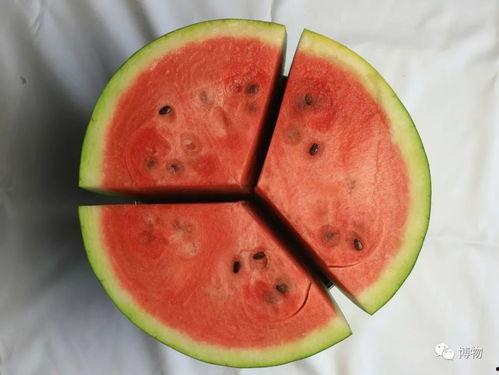 粪瓜怎样吃,探索独特美味的新选择  第3张