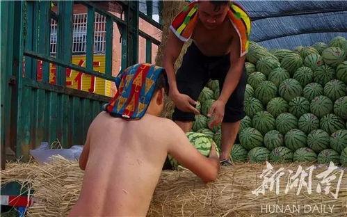 在小车里吃瓜,共享夏日吃瓜乐趣  第3张