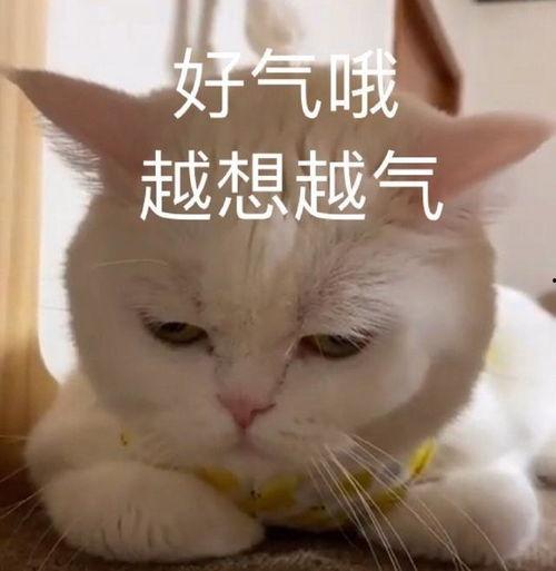 葫芦娃吃瓜  第2张