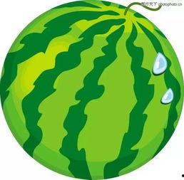 每日吃瓜比赛,瓜界风云，谁与争锋？  第3张