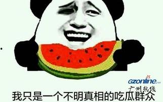 吃瓜群众里的吃瓜是什么意思,网络热词背后的文化现象  第3张