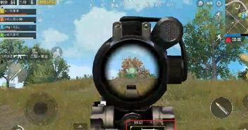 吃鸡爆料大瓜,揭秘游戏幕后黑幕与精彩瞬间  第2张