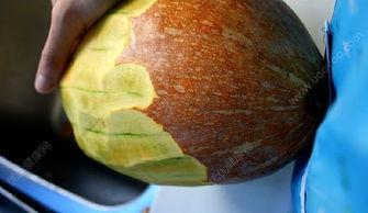 胃酸可不可以吃瓜  第1张