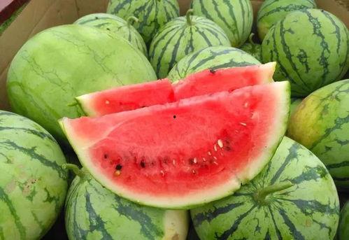 社会活动瓜瓜吃瓜