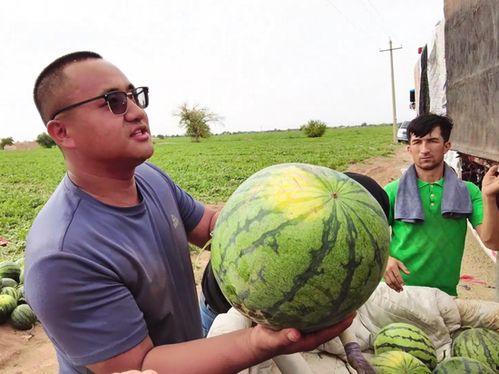 都昌吃瓜新闻视频,揭秘背后真相，引发网友热议  第2张